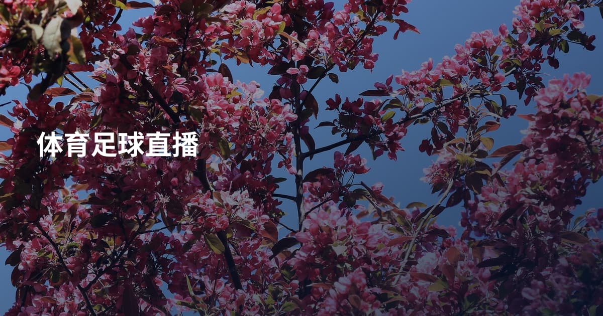 体育足球直播