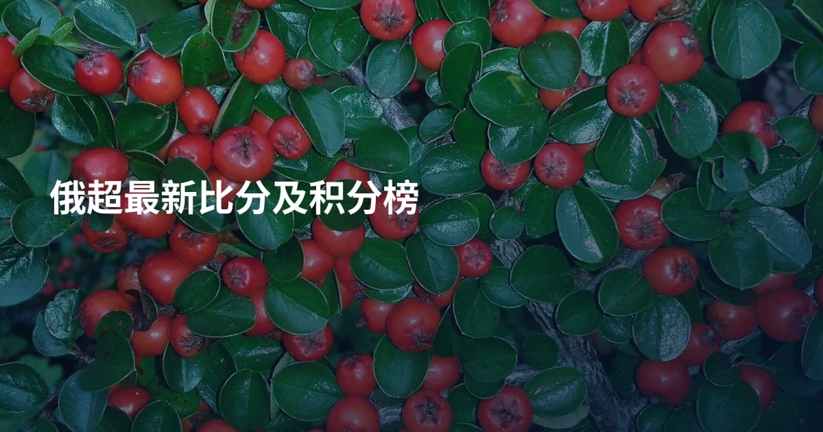 俄超最新比分及积分榜