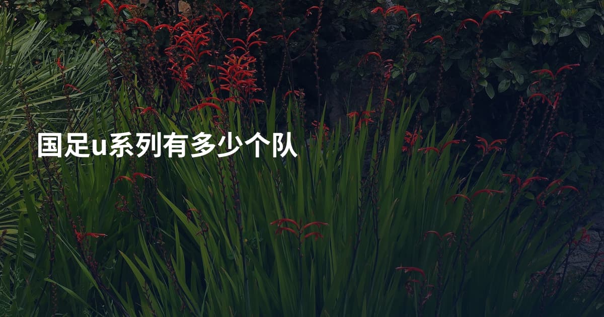 国足u系列有多少个队