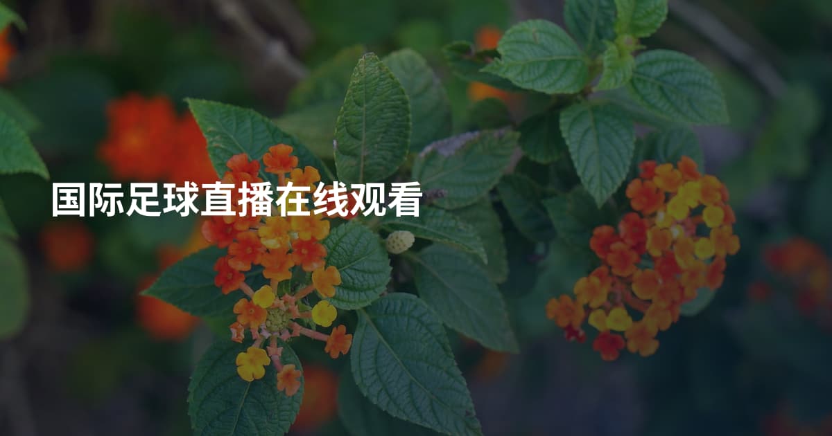 国际足球直播在线观看