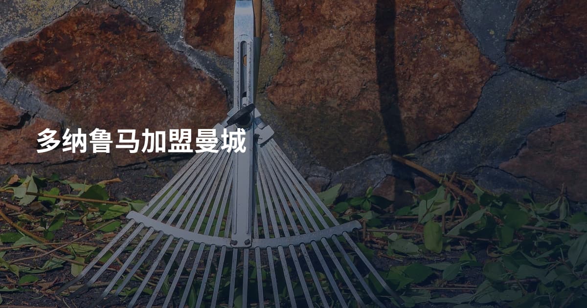 多纳鲁马加盟曼城