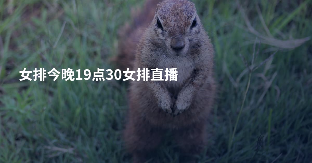 女排今晚19点30女排直播