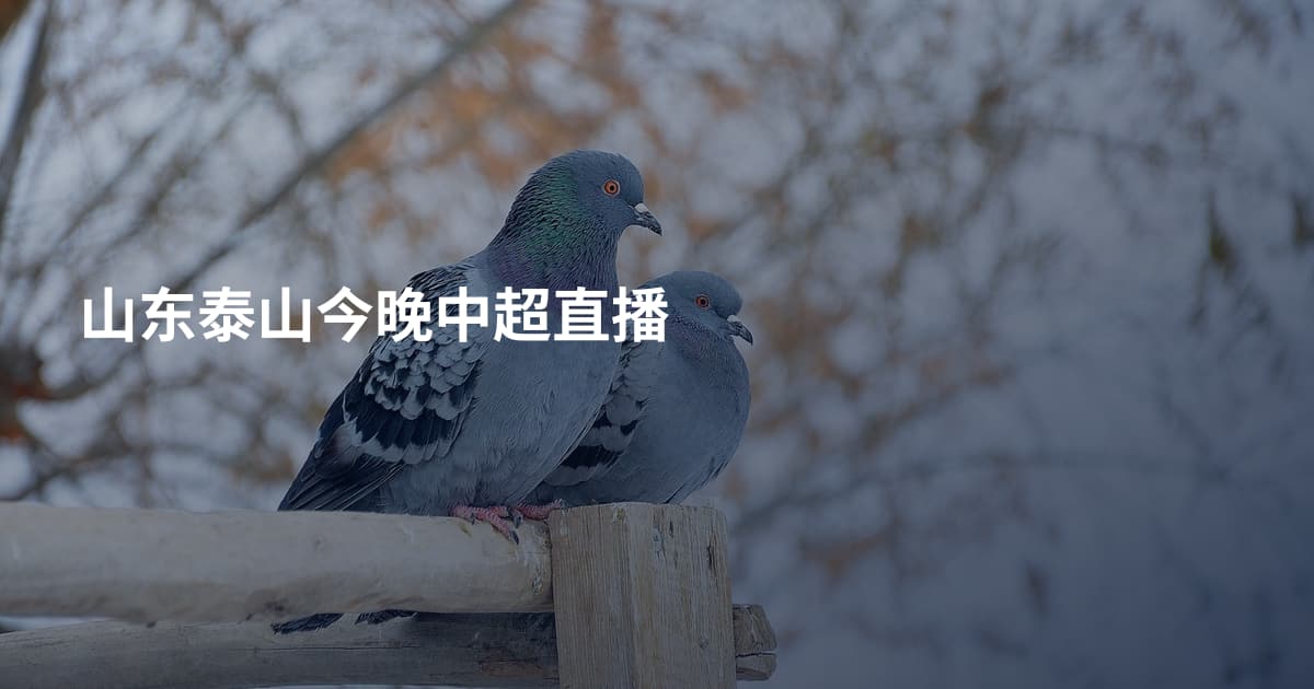 山东泰山今晚中超直播