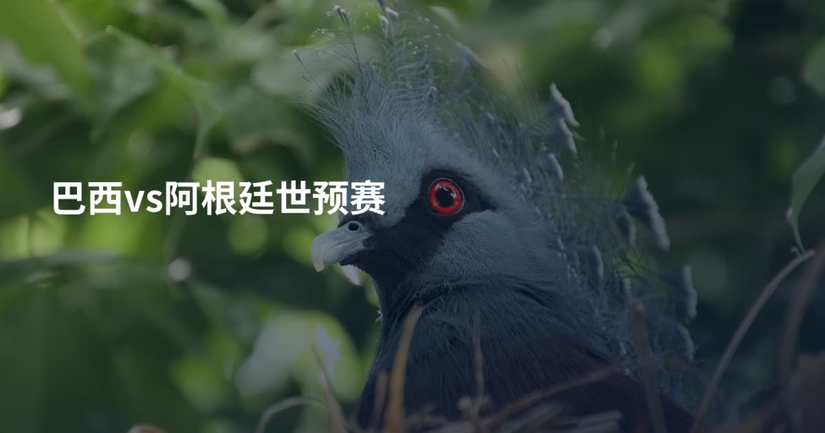 巴西vs阿根廷世预赛