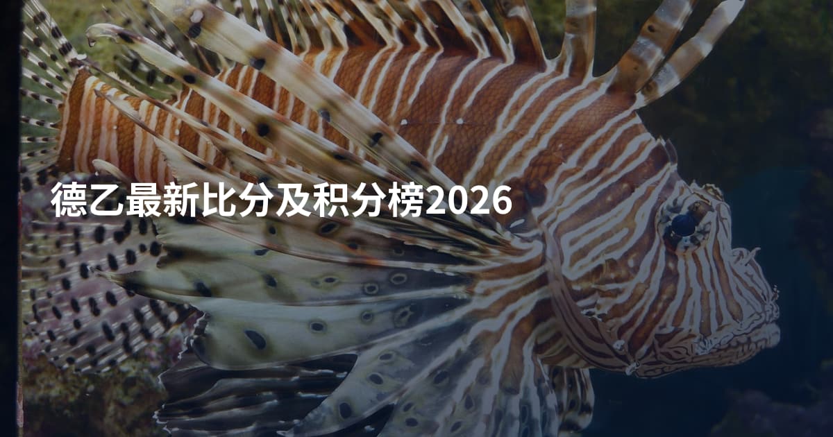 德乙最新比分及积分榜2026