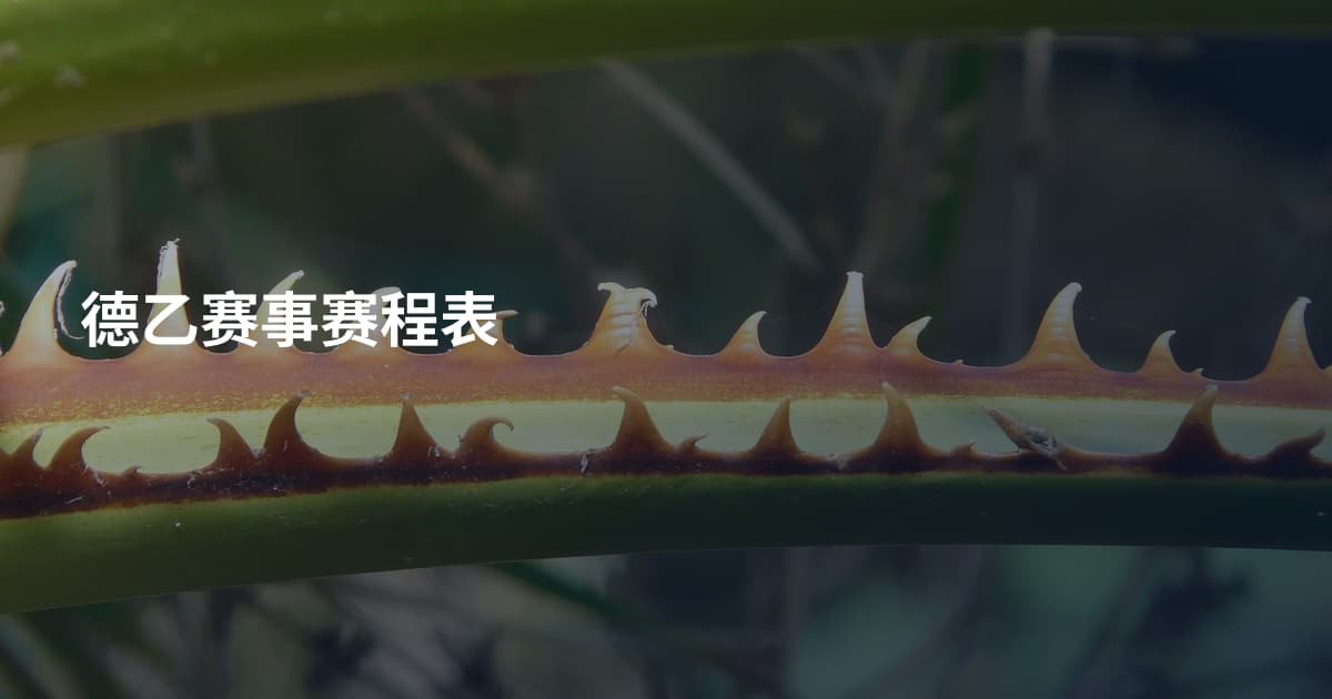 德乙赛事赛程表