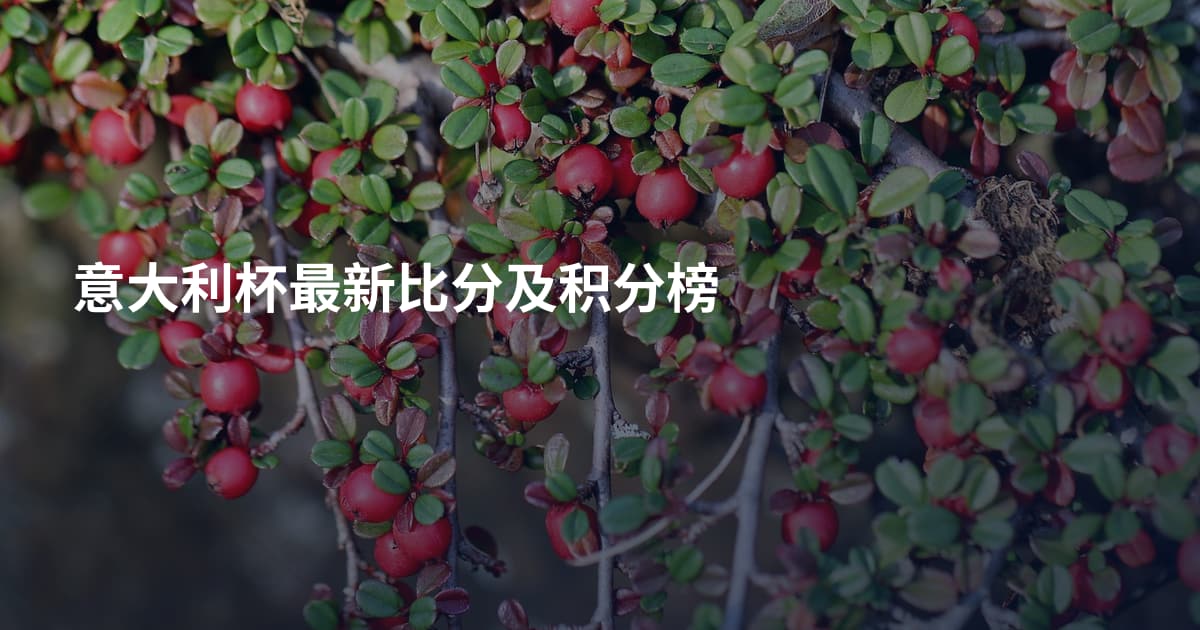 意大利杯最新比分及积分榜