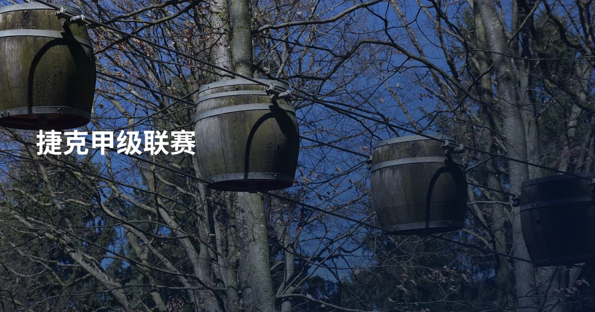 捷克甲级联赛