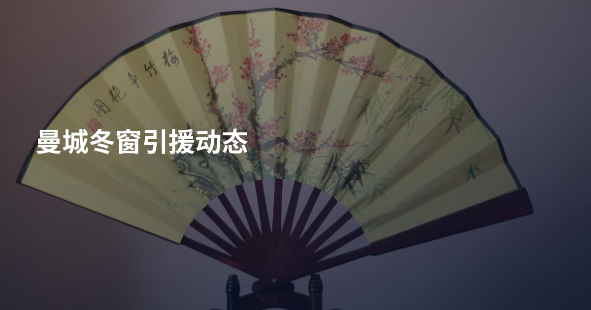 曼城冬窗引援动态