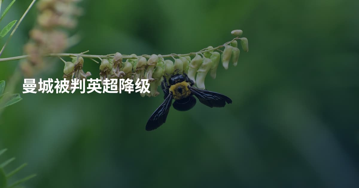 曼城被判英超降级