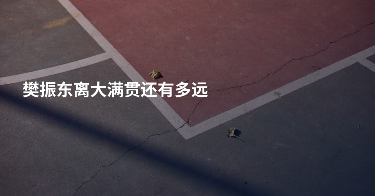 樊振东离大满贯还有多远