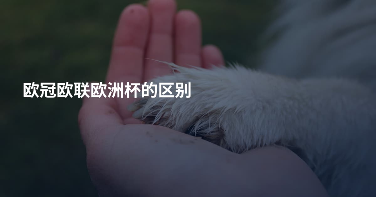 欧冠欧联欧洲杯的区别