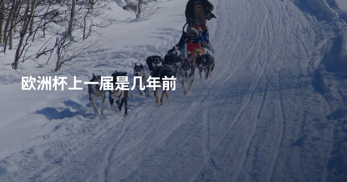 欧洲杯上一届是几年前