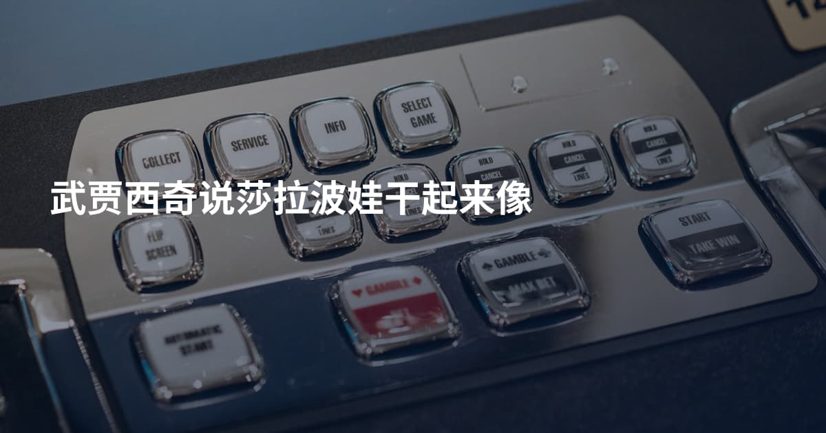 武贾西奇说莎拉波娃干起来像
