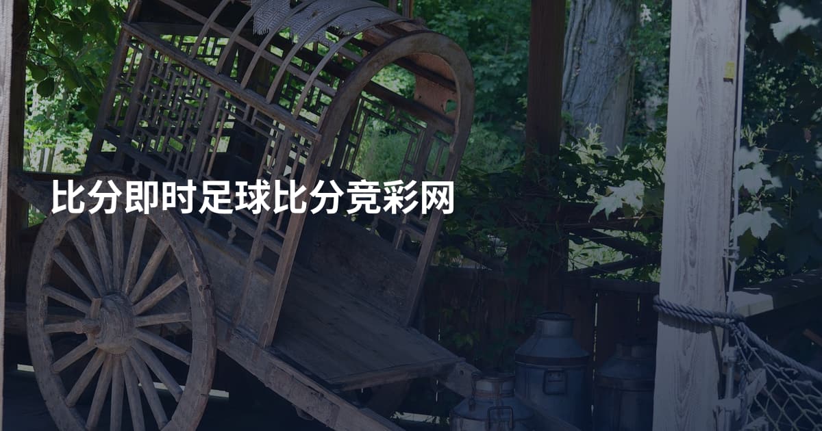 比分即时足球比分竞彩网