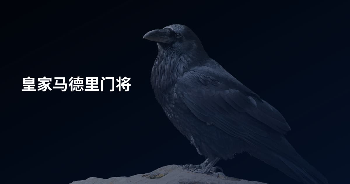 皇家马德里门将