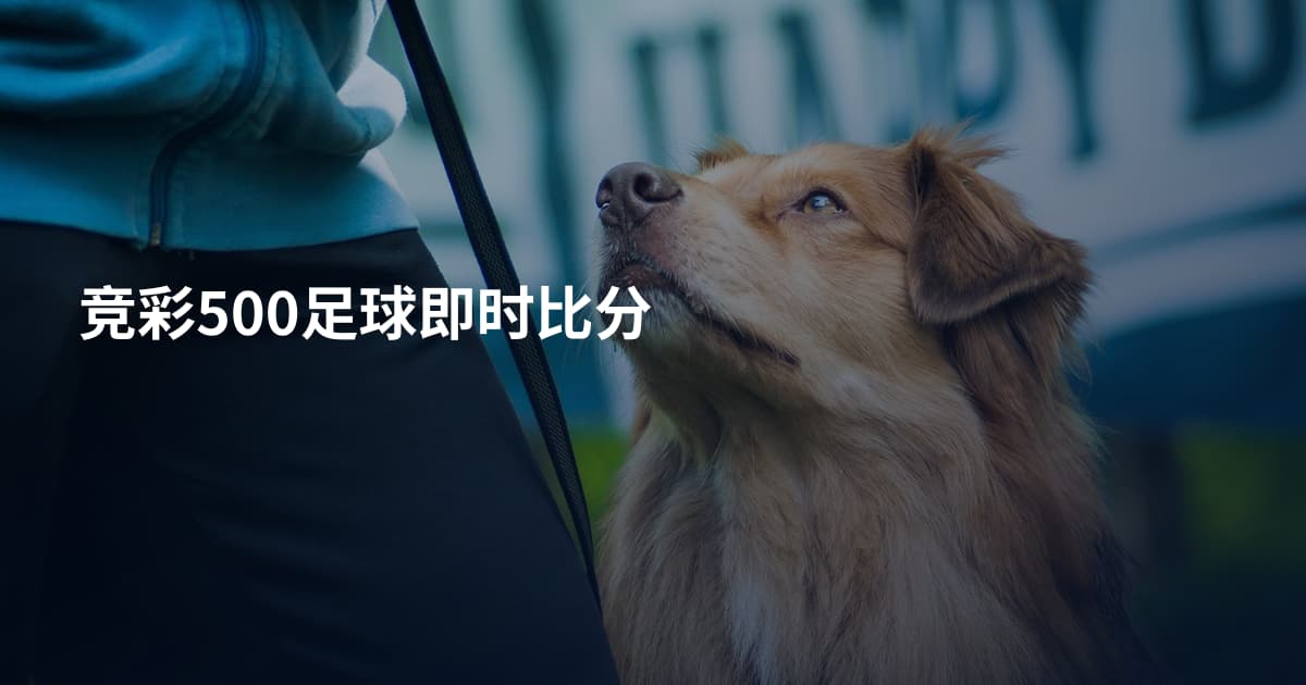 竞彩500足球即时比分