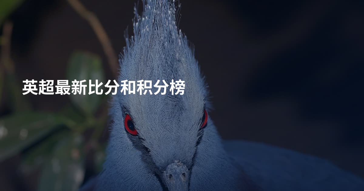 英超最新比分和积分榜
