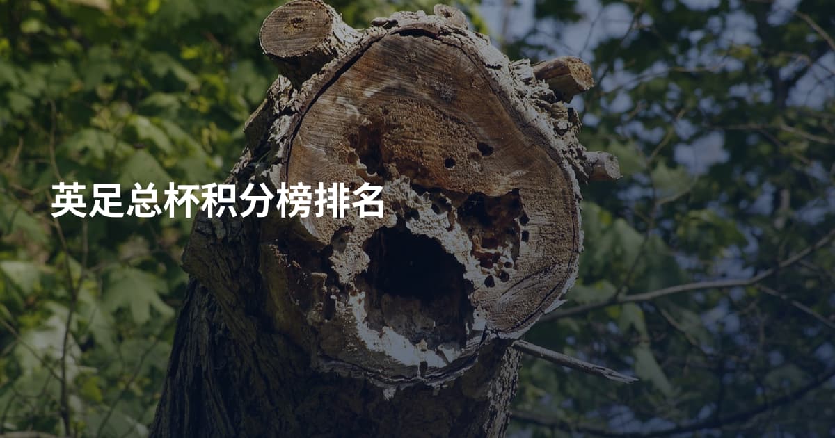 英足总杯积分榜排名