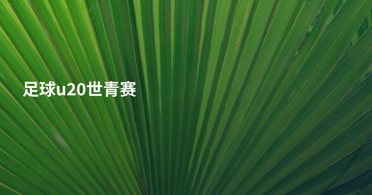 足球u20世青赛
