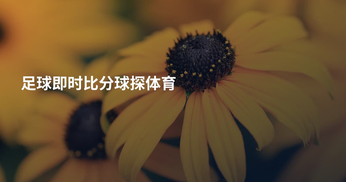 足球即时比分球探体育