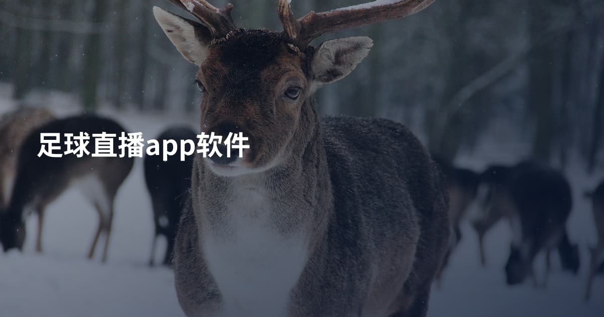 足球直播app软件