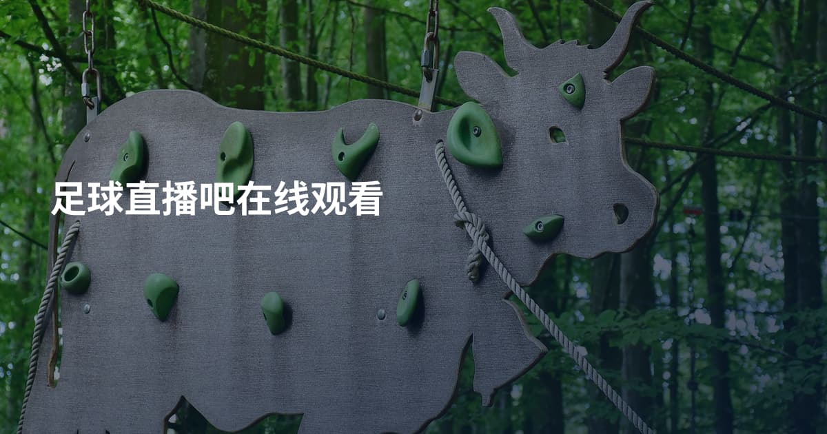 足球直播吧在线观看