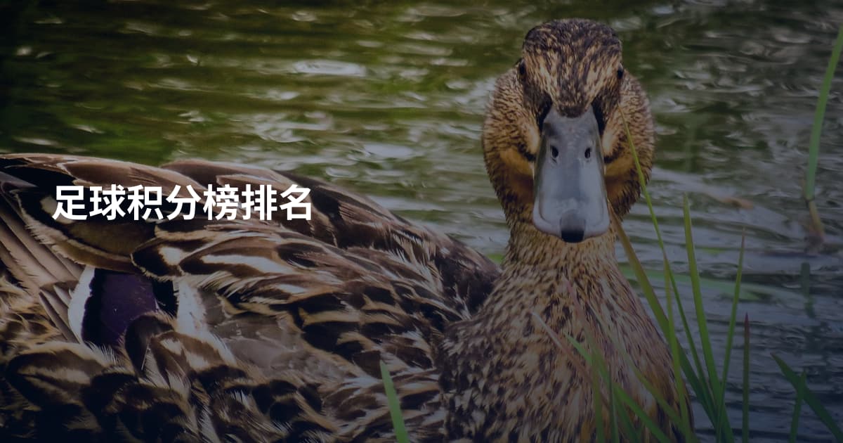 足球积分榜排名