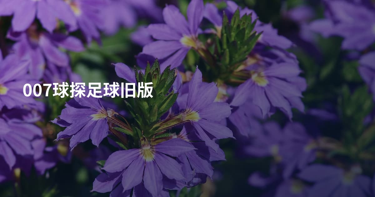 007球探足球旧版