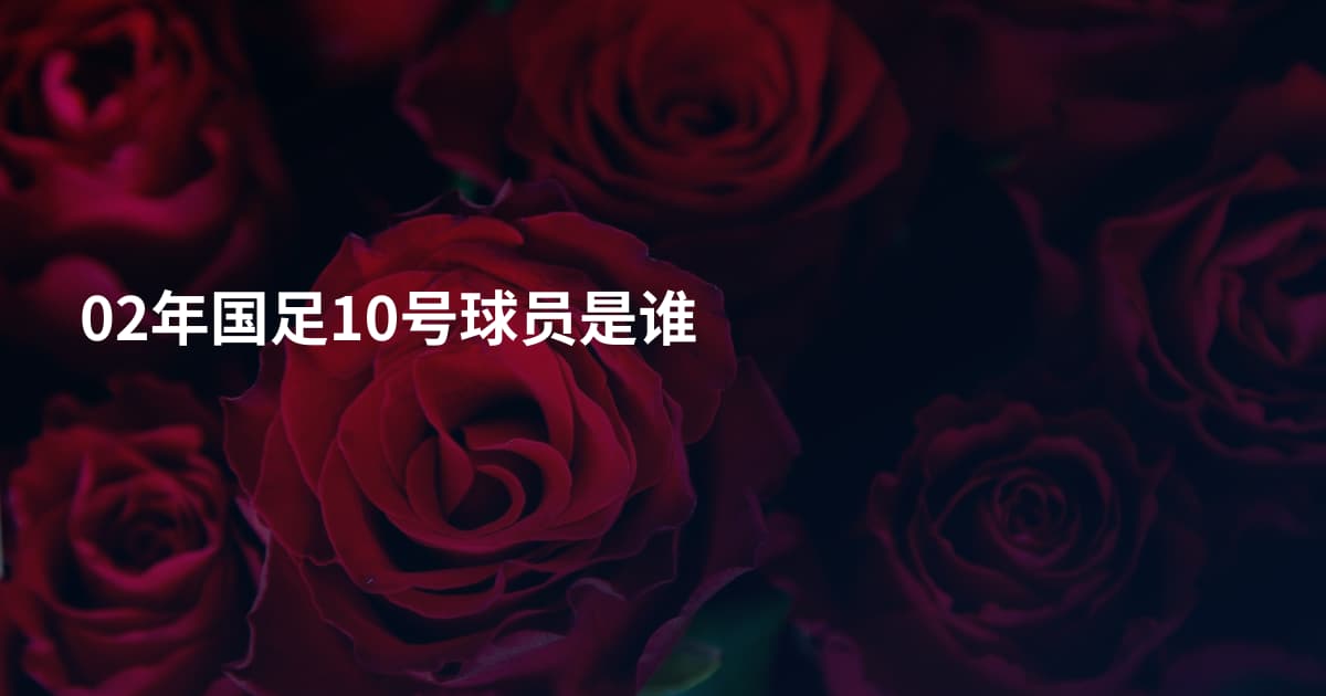 02年国足10号球员是谁