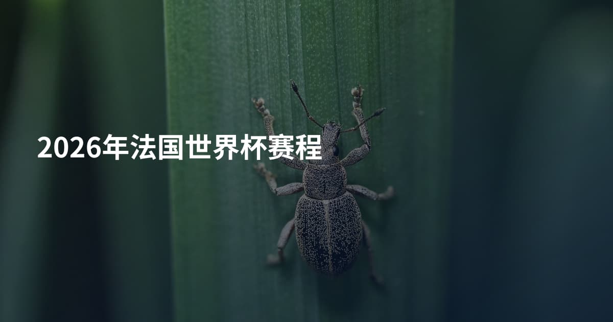 2026年法国世界杯赛程