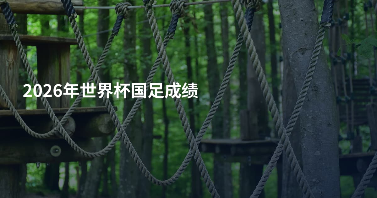 2026年世界杯国足成绩