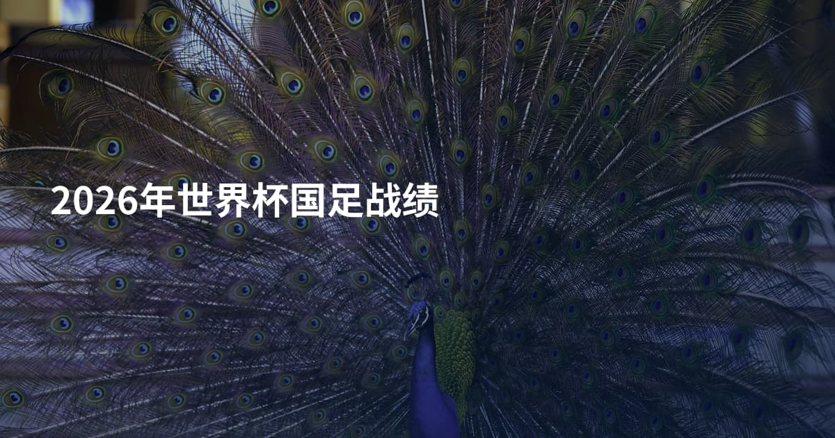 2026年世界杯国足战绩