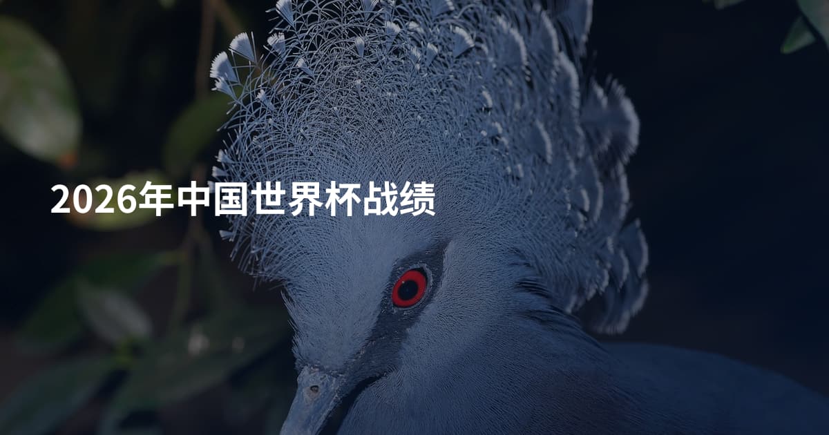 2026年中国世界杯战绩