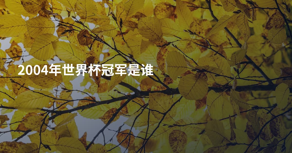 2004年世界杯冠军是谁