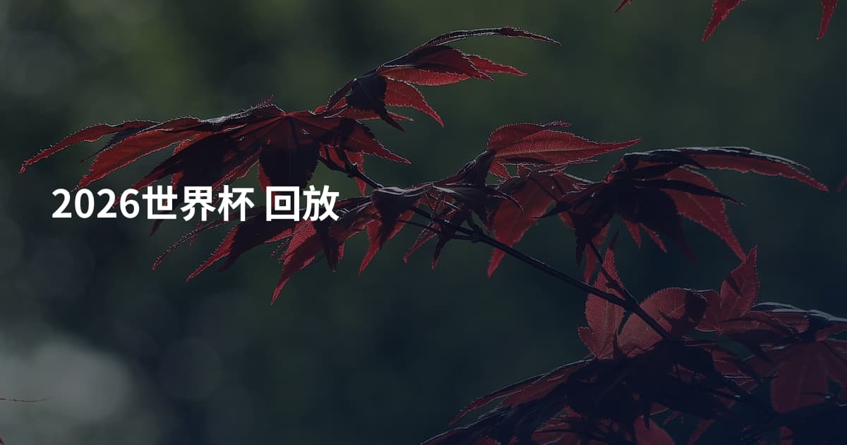 2026世界杯 回放