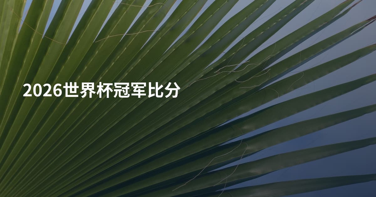 2026世界杯冠军比分