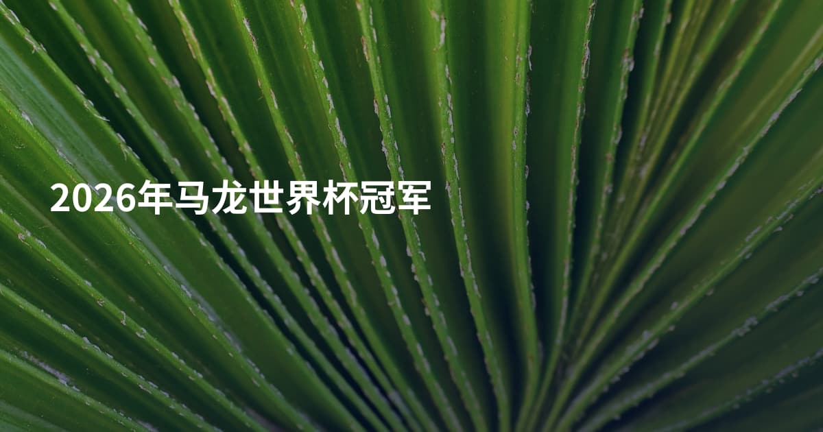 2026年马龙世界杯冠军
