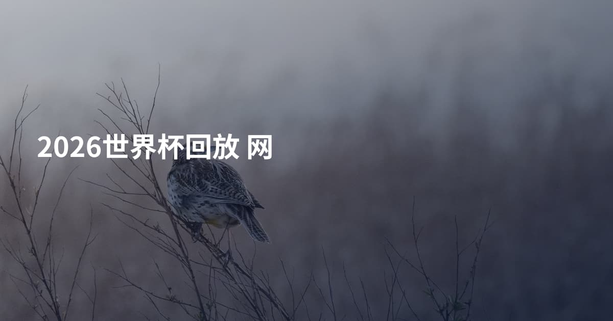 2026世界杯回放 网