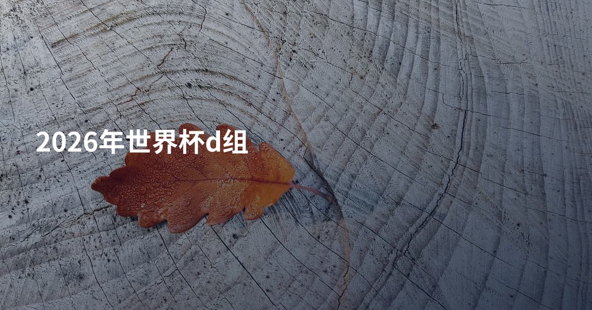 2026年世界杯d组