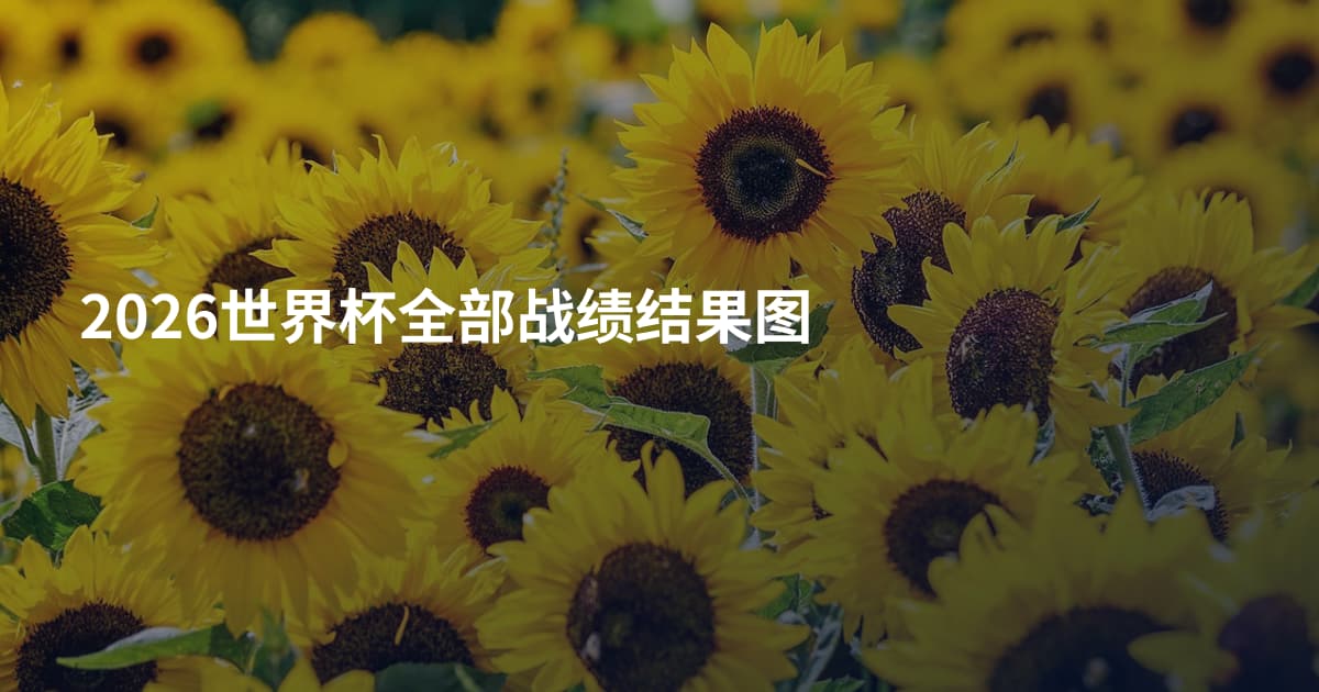 2026世界杯全部战绩结果图