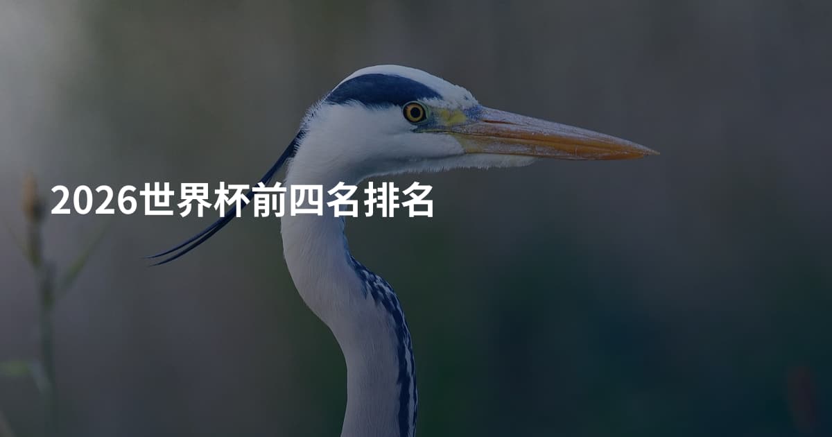 2026世界杯前四名排名