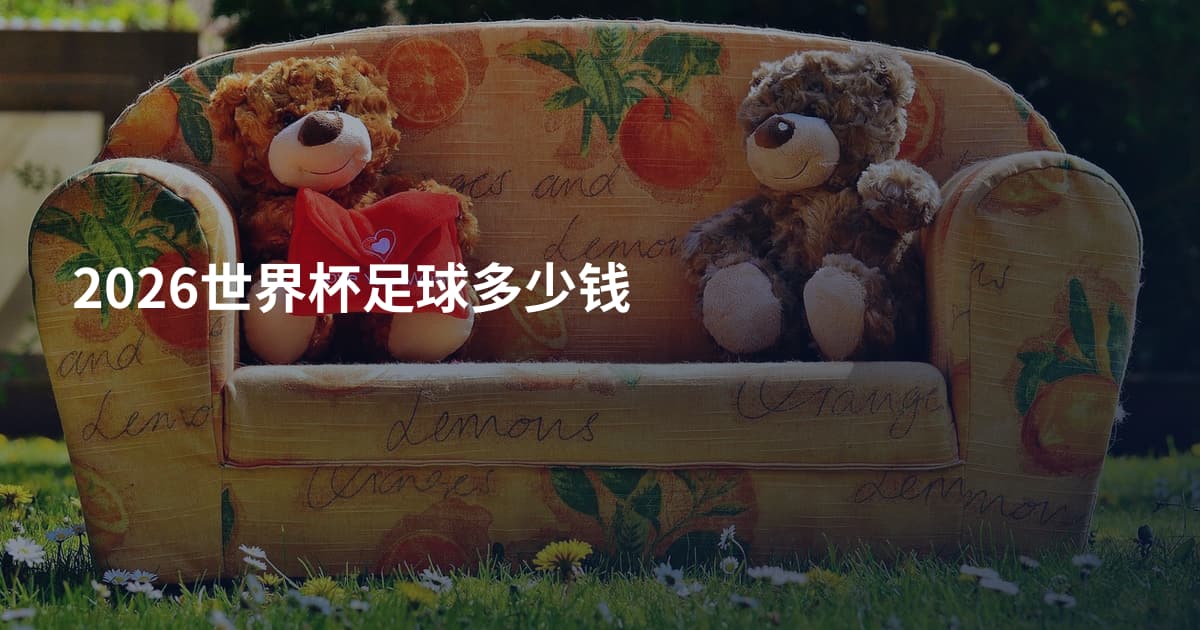 2026世界杯足球多少钱