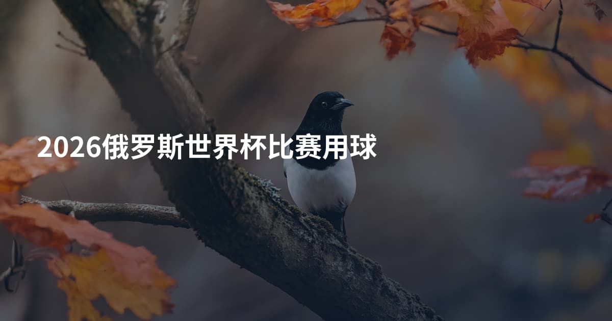 2026俄罗斯世界杯比赛用球