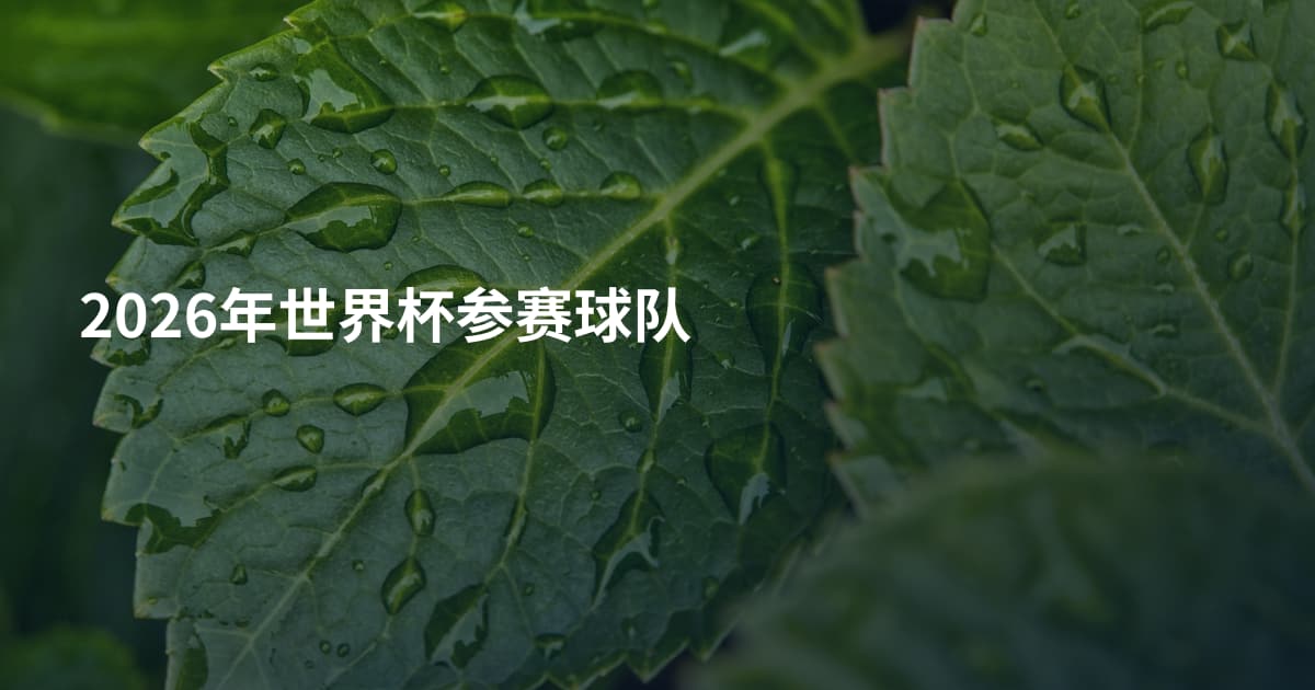 2026年世界杯参赛球队