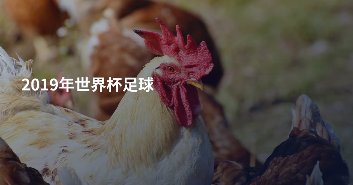 2019年世界杯足球
