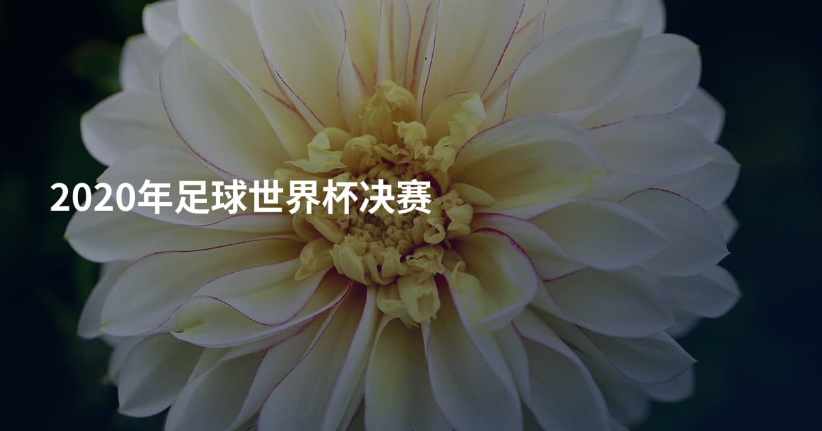 2020年足球世界杯决赛