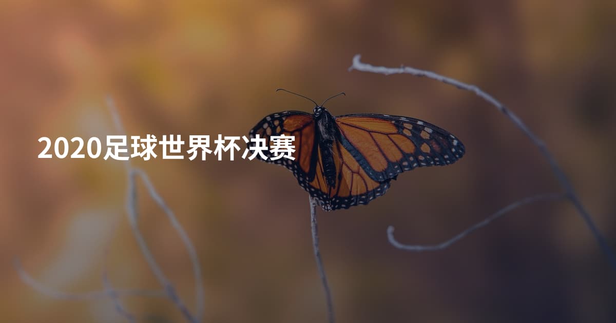 2020足球世界杯决赛