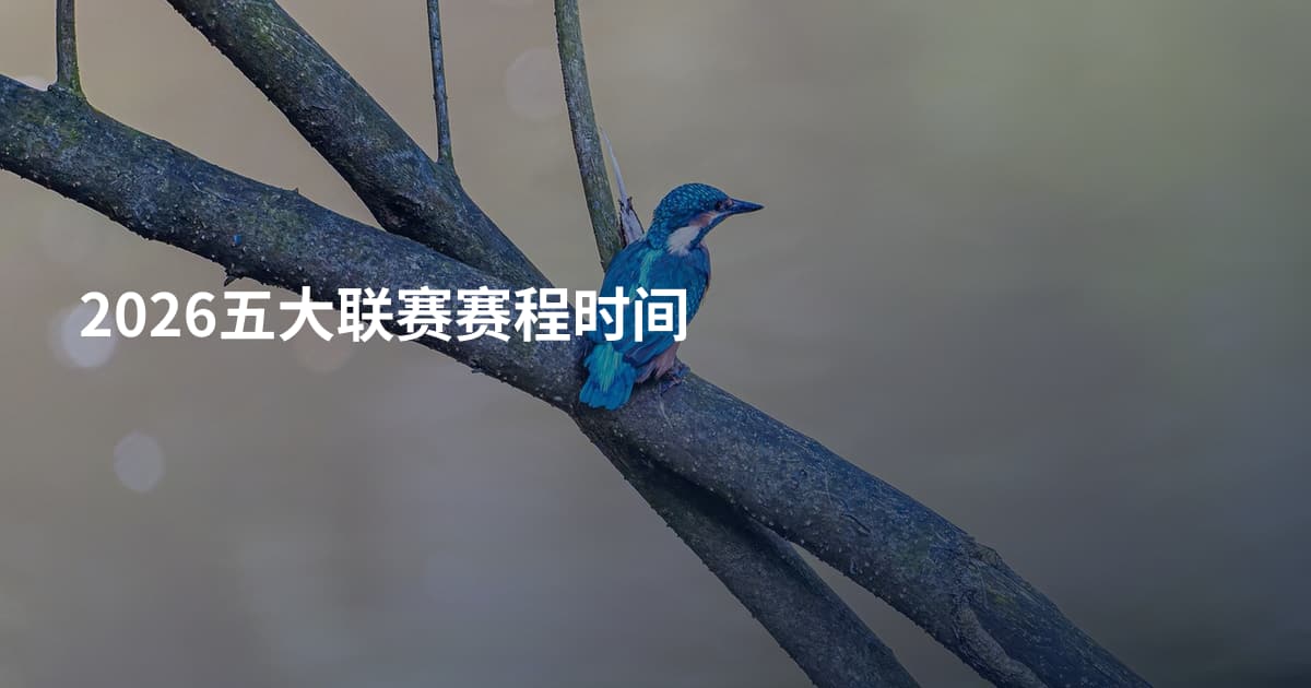 2026五大联赛赛程时间