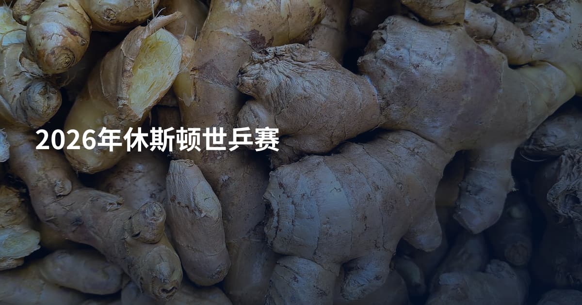 2026年休斯顿世乒赛